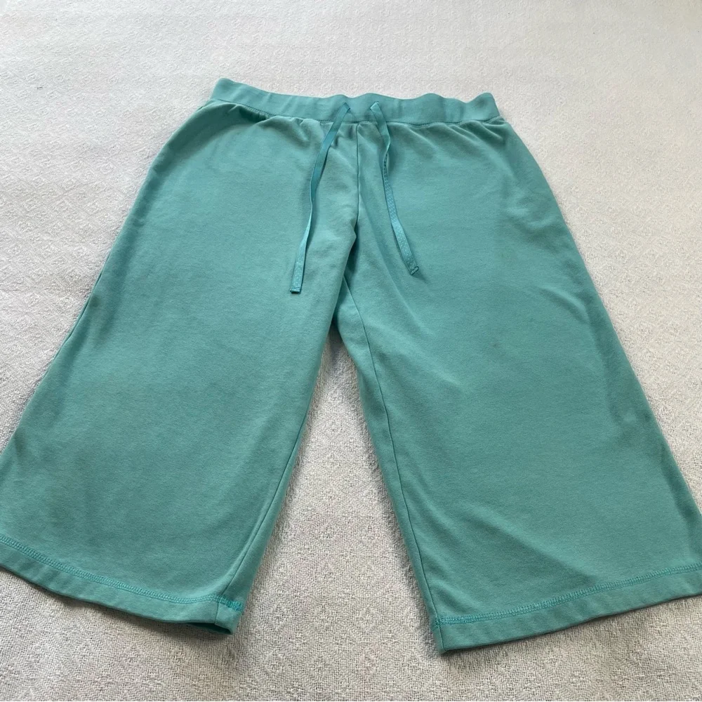 Mountain Lake Teal Women's Top and‎ Bottom Set ~ Size Large Petite~  Casual Set